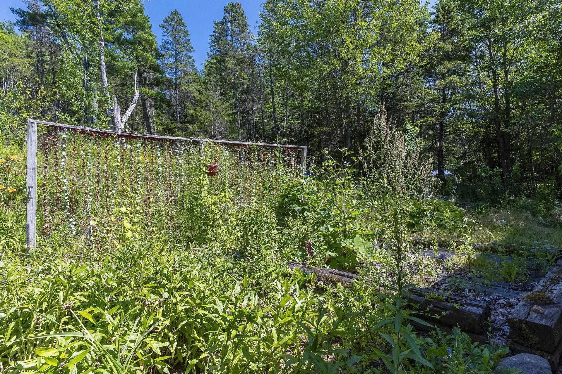 258 Trout Lake Road, West Inglisville, NS - Outdoor