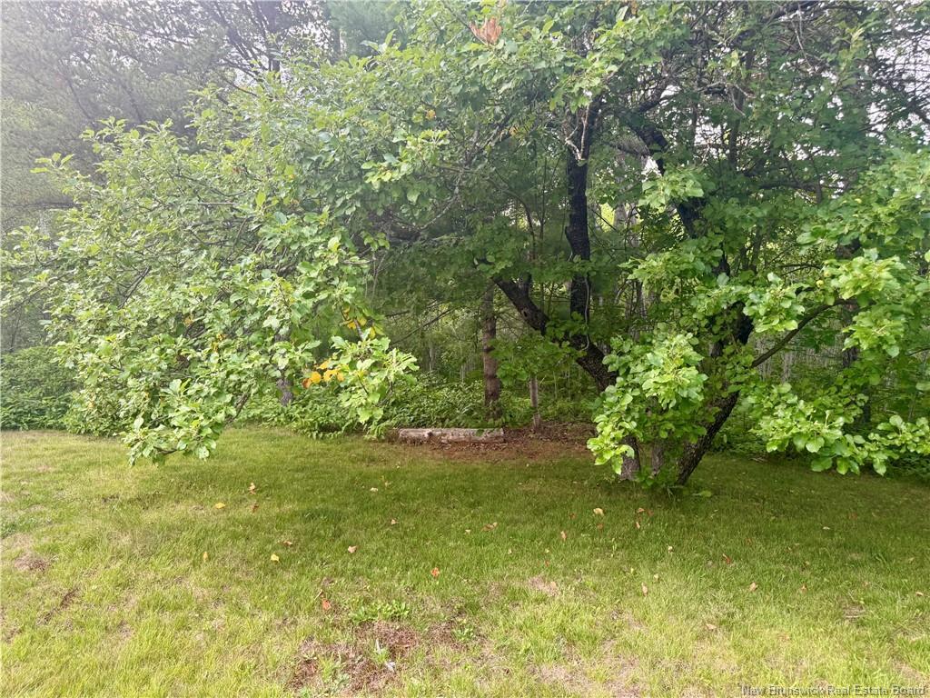 1567 Beaverbrook Rd, Beaver Brook, NB