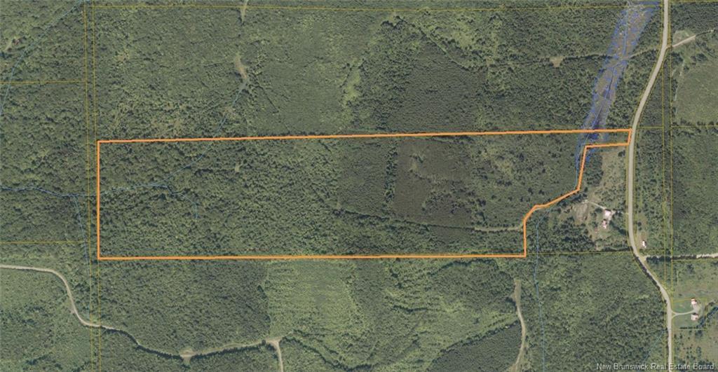 0 East Knowlesville Rd, East Knowlesville, NB - Other
