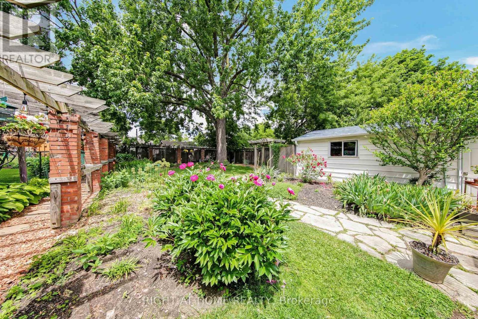 Backyard - 74 Mccaul Street, Brampton, ON - Outdoor