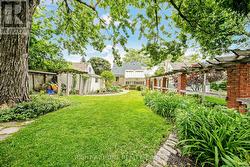 Backyard -
