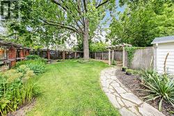 Backyard -