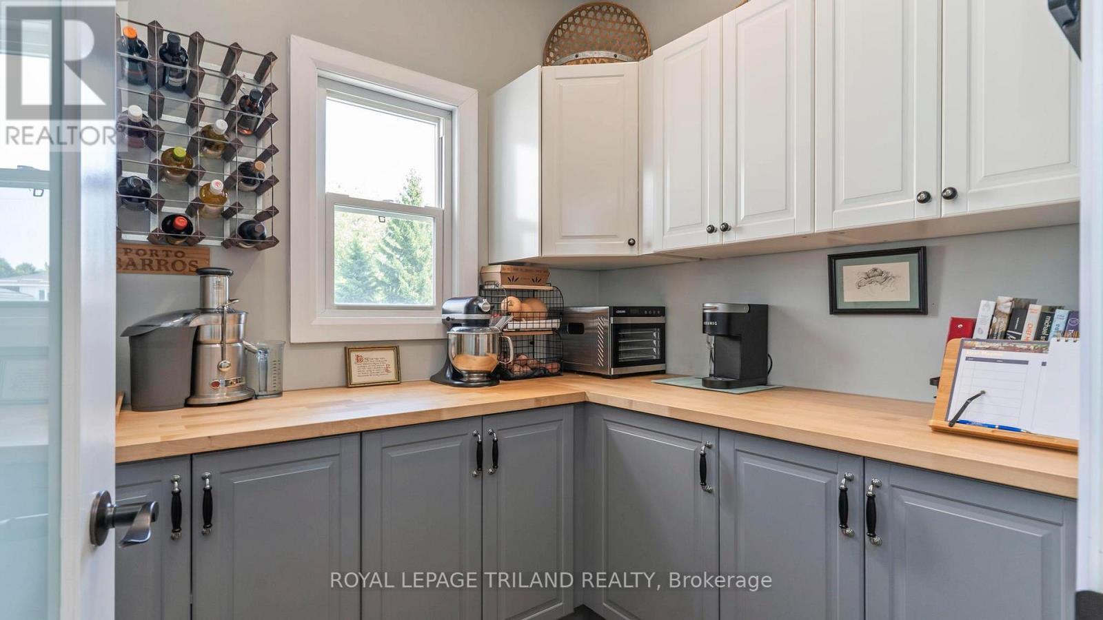 33134 Back Street, Dutton/Dunwich (Iona), ON - Indoor Photo Showing Kitchen