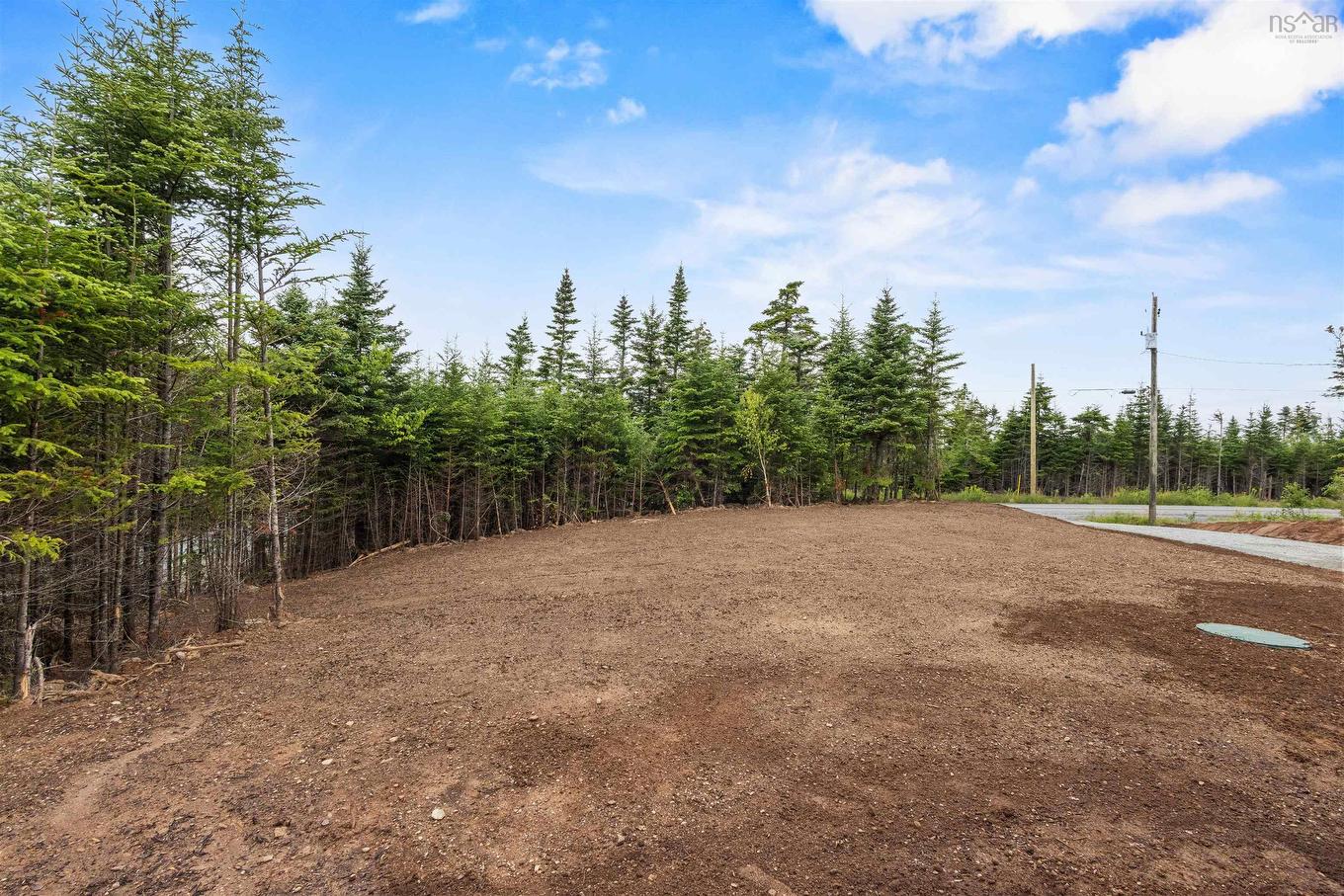 1062 Mines Road, West Petpeswick, NS - Outdoor With View