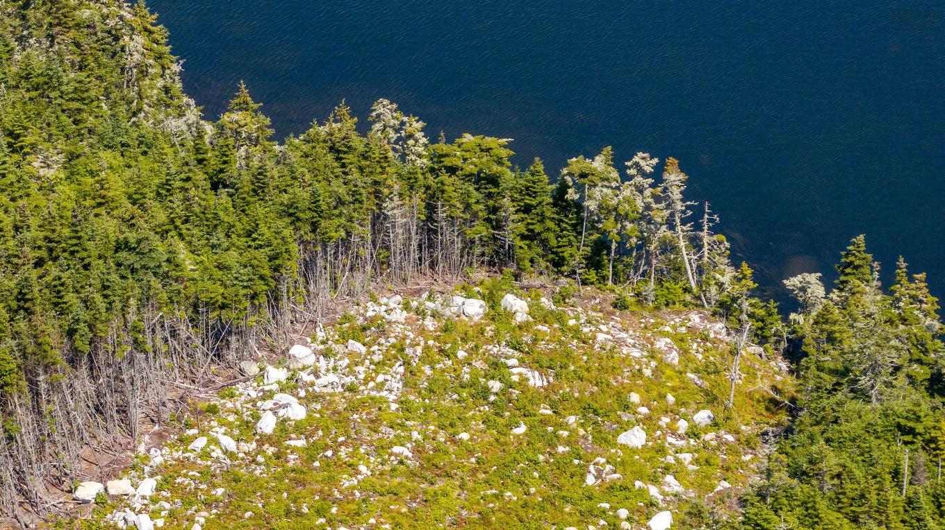 Lot 113 2885 Ostrea Lake Road, Ostrea Lake, NS