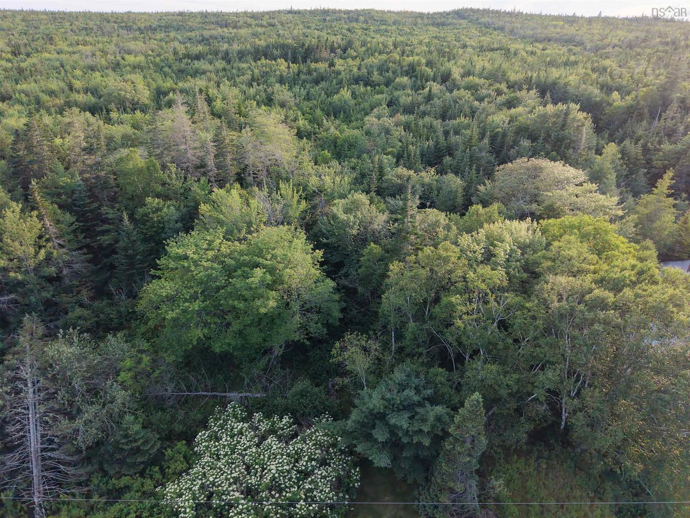 13713 Highway 316, Isaacs Harbour, NS