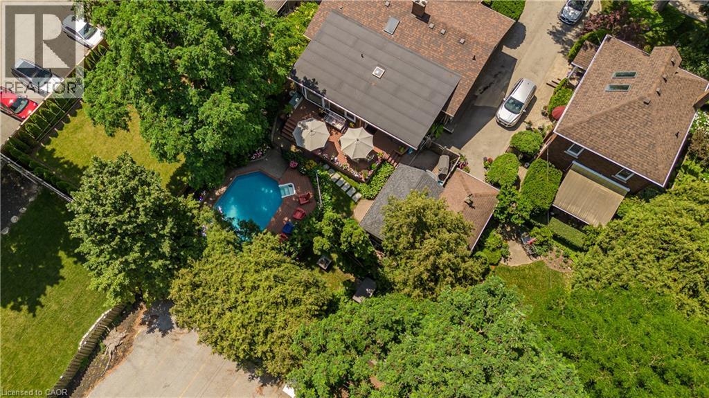 Expansive property featuring a private swimming pool, mature landscaping, spacious outdoor decking, a paved driveway, and multiple structures - 569 Locust Street, Burlington, ON - Outdoor With View