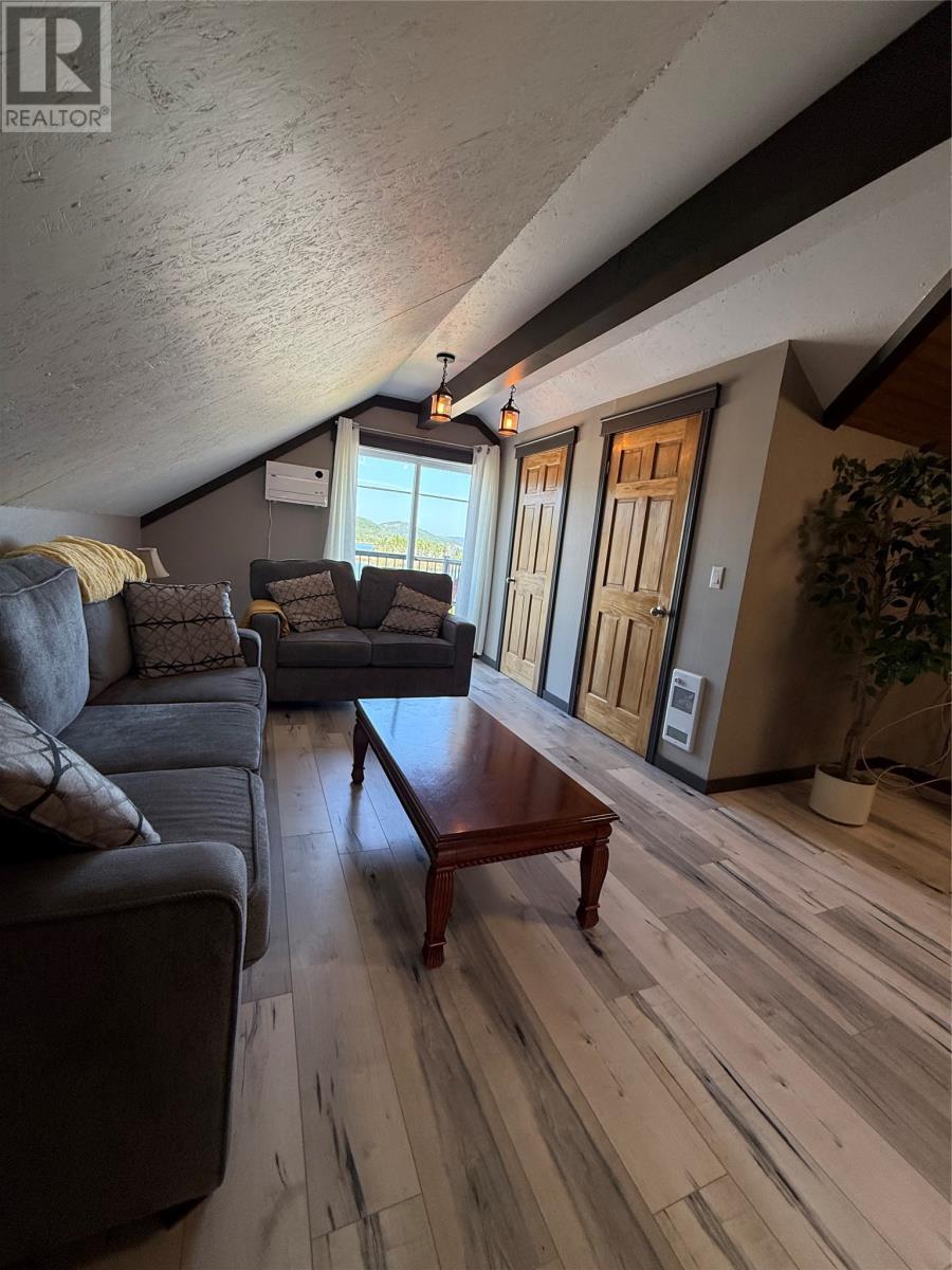 17 Brighton Road, Triton, NL - Indoor Photo Showing Living Room