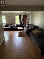 Large L shape living rm or add dinning rm -