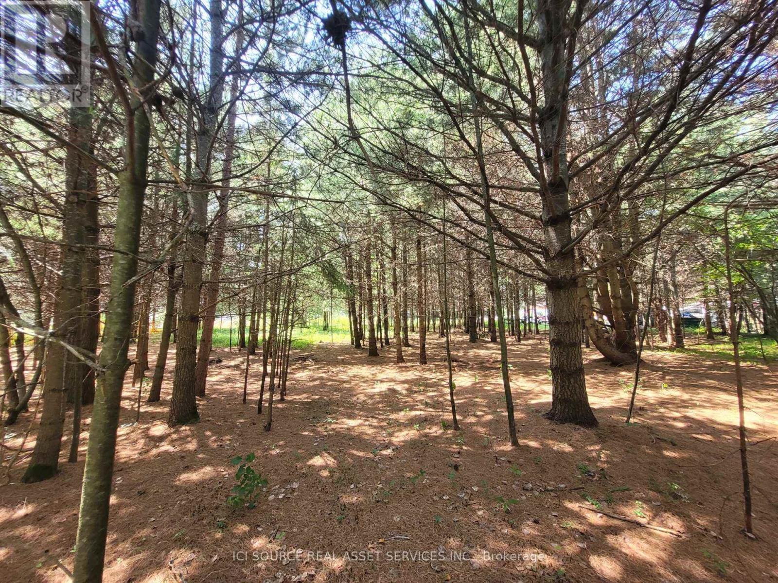 6 Grey Street, Sables-Spanish Rivers, ON