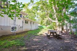 Back yard - 