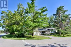 Street View - 