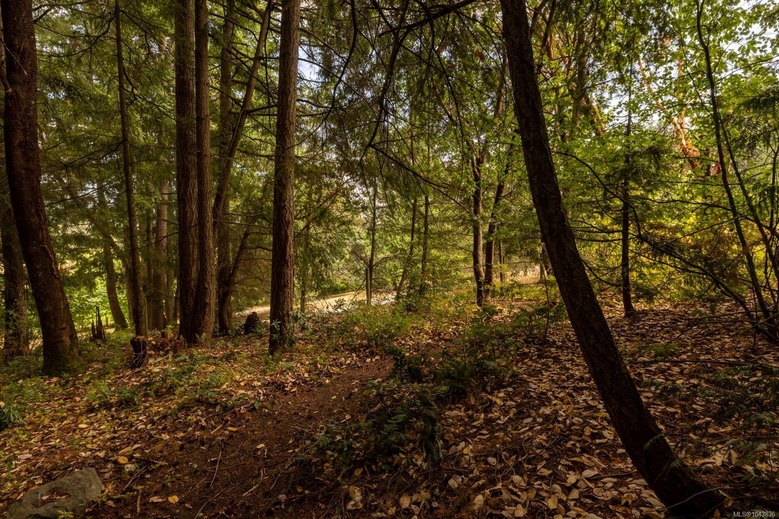 4245 Judge Dr, Cobble Hill, BC