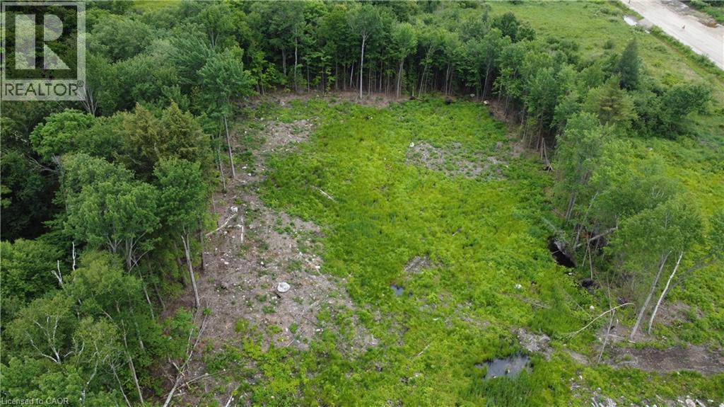 Expansive land parcel featuring natural tree lines and cleared areas - 20 Ritchie Drive, Carling, ON