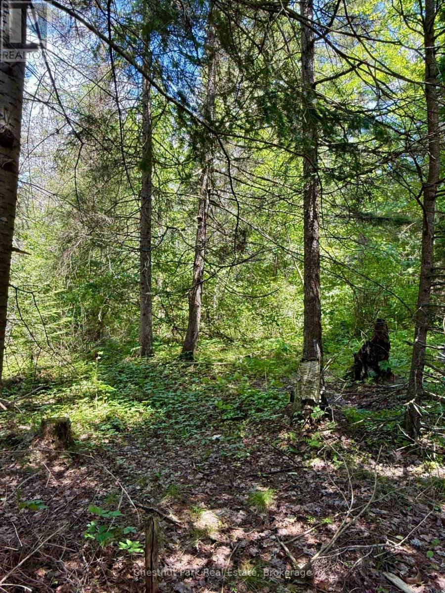 17 Whitefish Lake Apl1582, Algonquin Highlands (Lawrence), ON - Outdoor