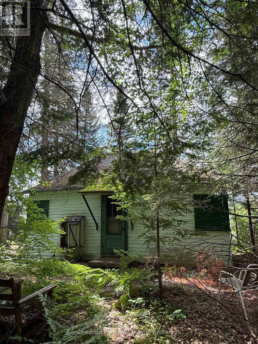 Site looks directly west. Sunsets!! - 17 Whitefish Lake Apl1582, Algonquin Highlands (Lawrence), ON - Outdoor