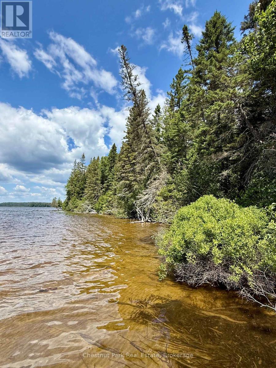 To the north. No neighbours. - 17 Whitefish Lake Apl1582, Algonquin Highlands (Lawrence), ON - Outdoor With Body Of Water With View