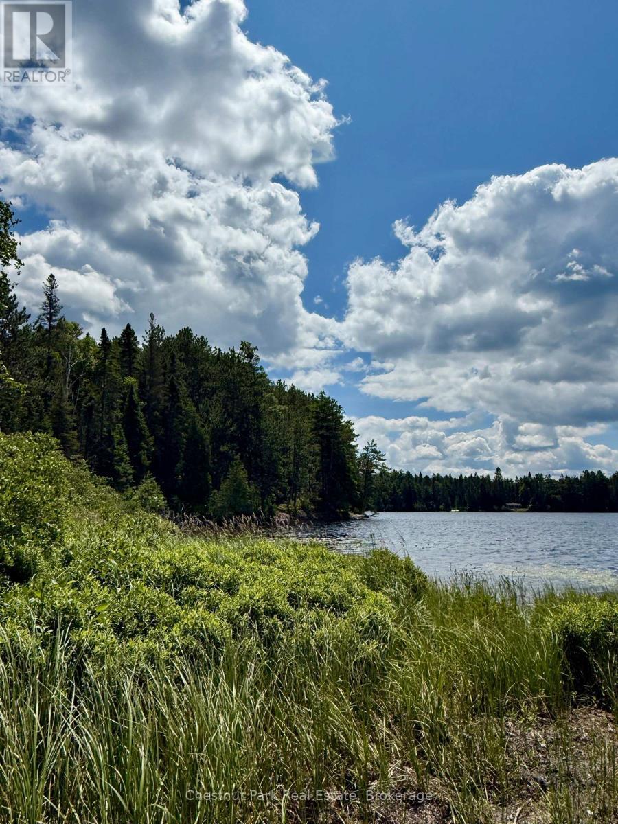 To the south. No neighbours for hundreds of feet - 17 Whitefish Lake Apl1582, Algonquin Highlands (Lawrence), ON - Outdoor With Body Of Water With View