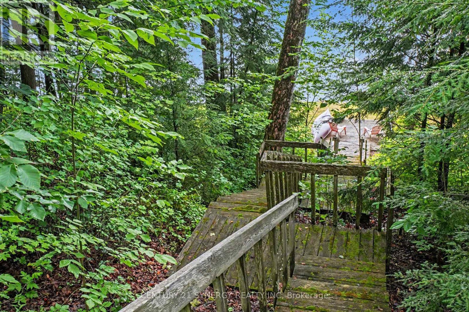 1362 Mosque Lake Lane, Frontenac (Frontenac North), ON - Outdoor