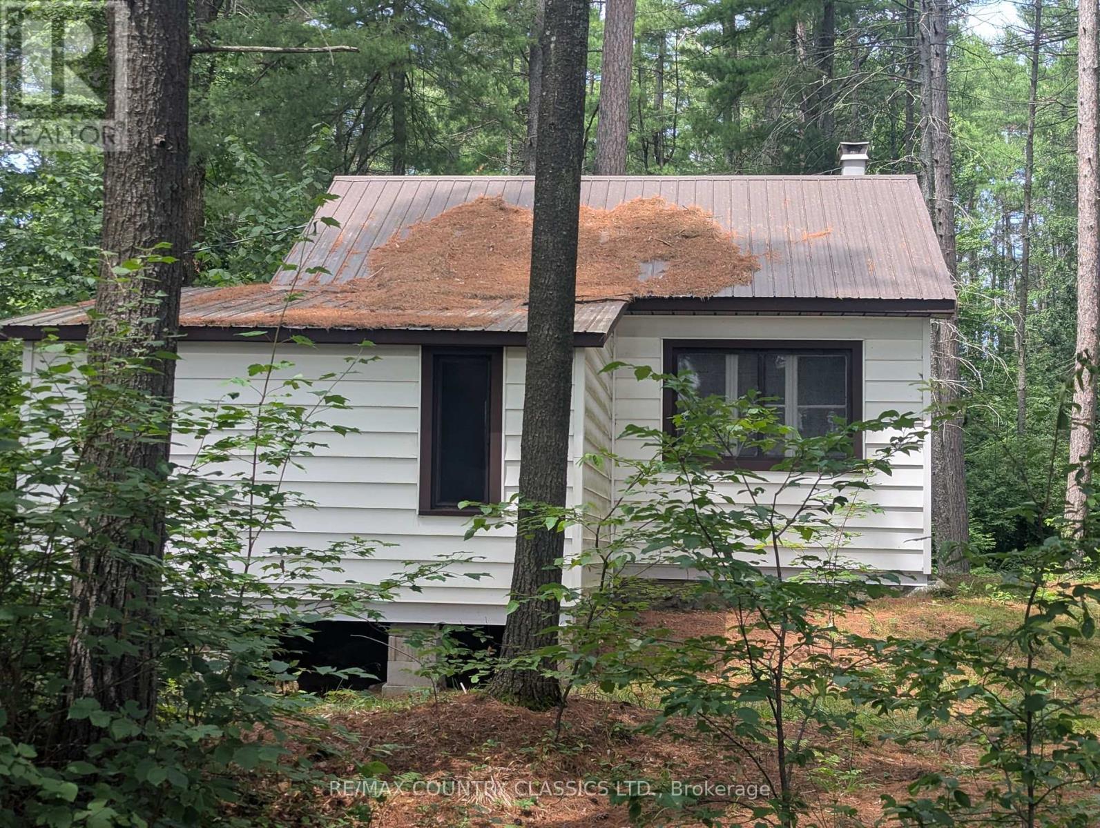 22 Swan Lane, Madawaska Valley, ON - Outdoor