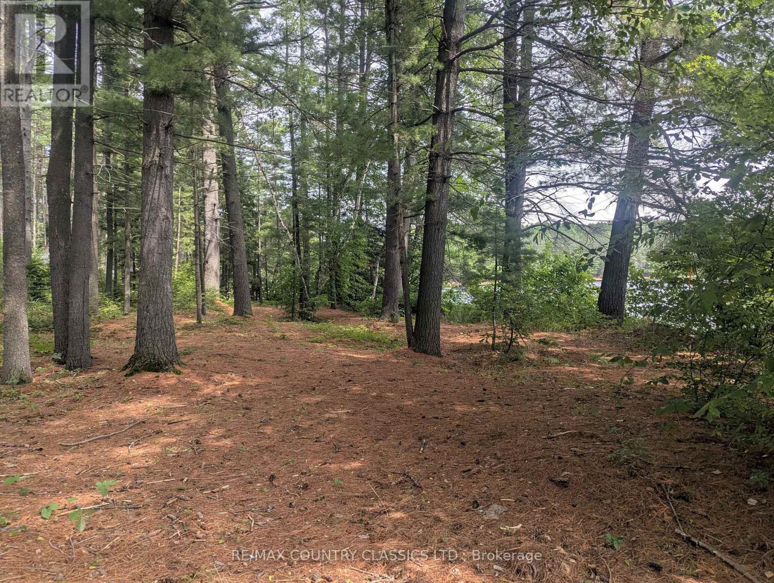 22 Swan Lane, Madawaska Valley, ON - Outdoor With View