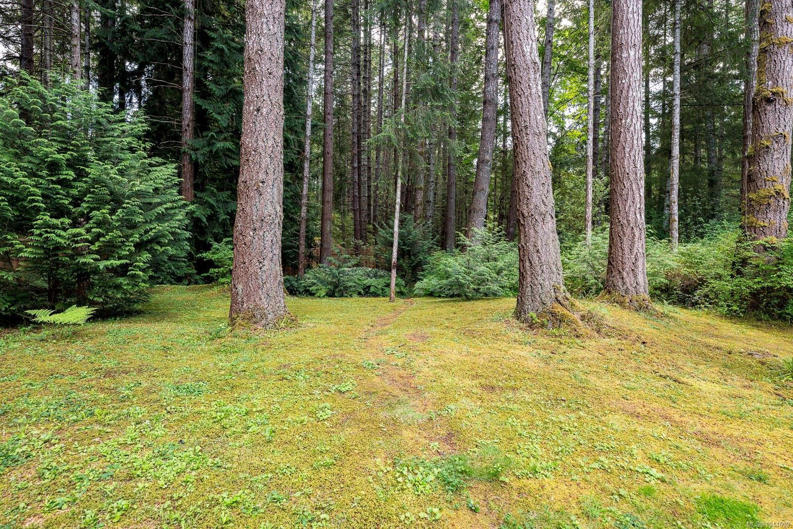 307 Bates Dr, Fanny Bay, BC