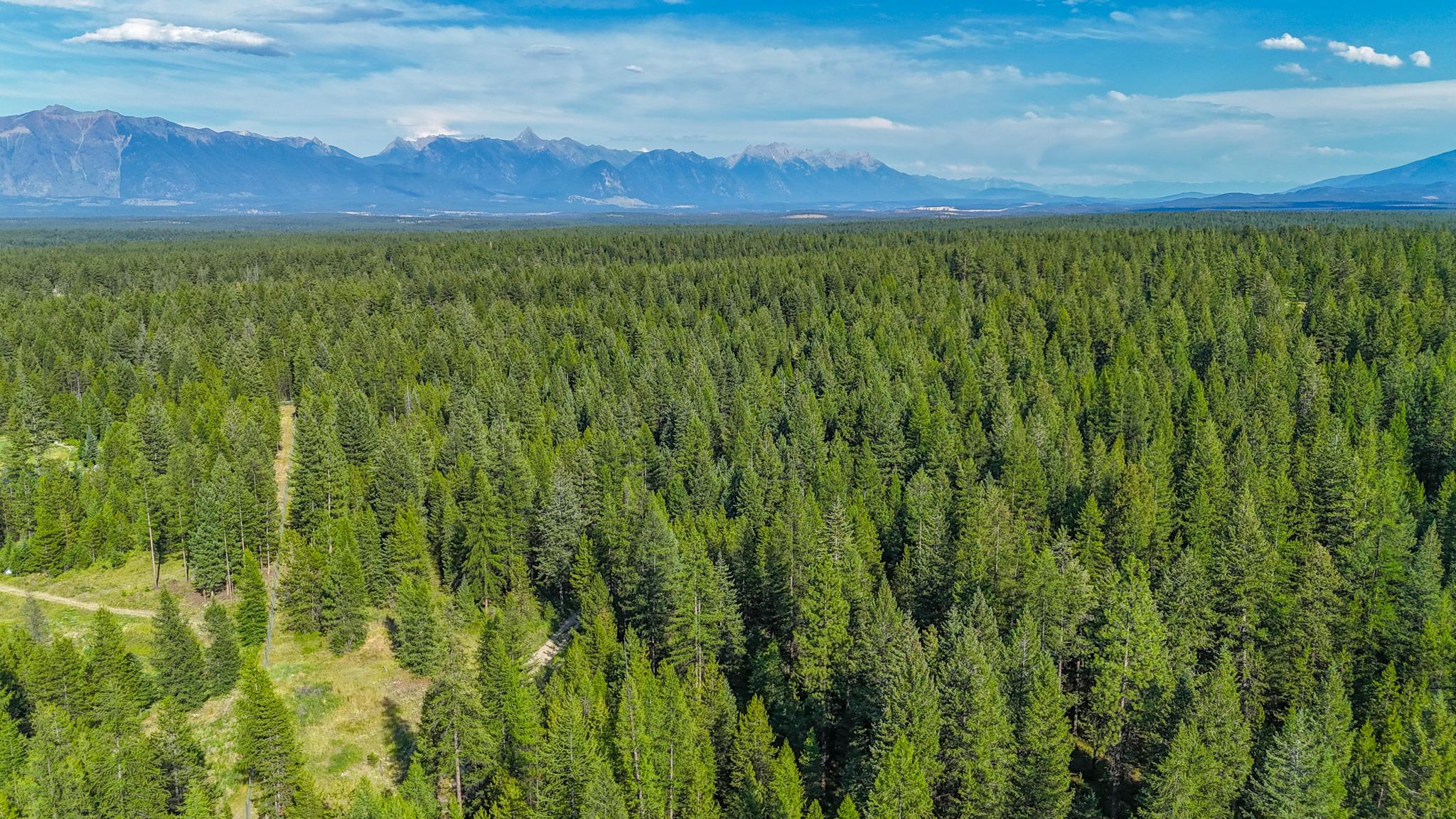 Lot B 8250 Hwy 95A, Kimberley, BC