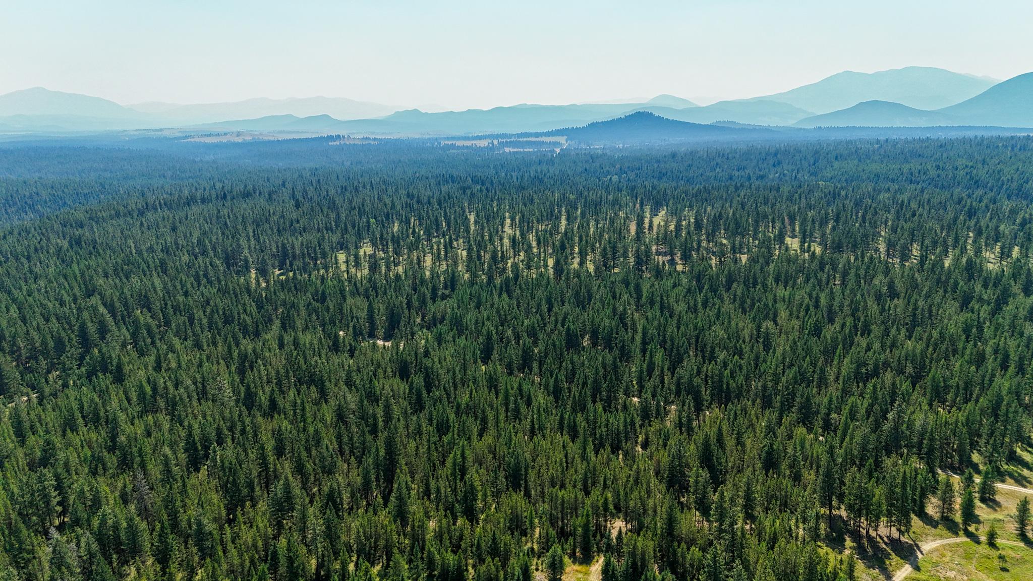 Lot B 8250 Hwy 95A, Kimberley, BC