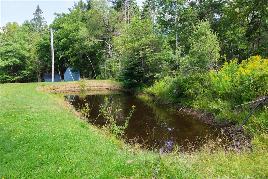 49 Pumpkin Hill Rd, Nauwigewauk, NB