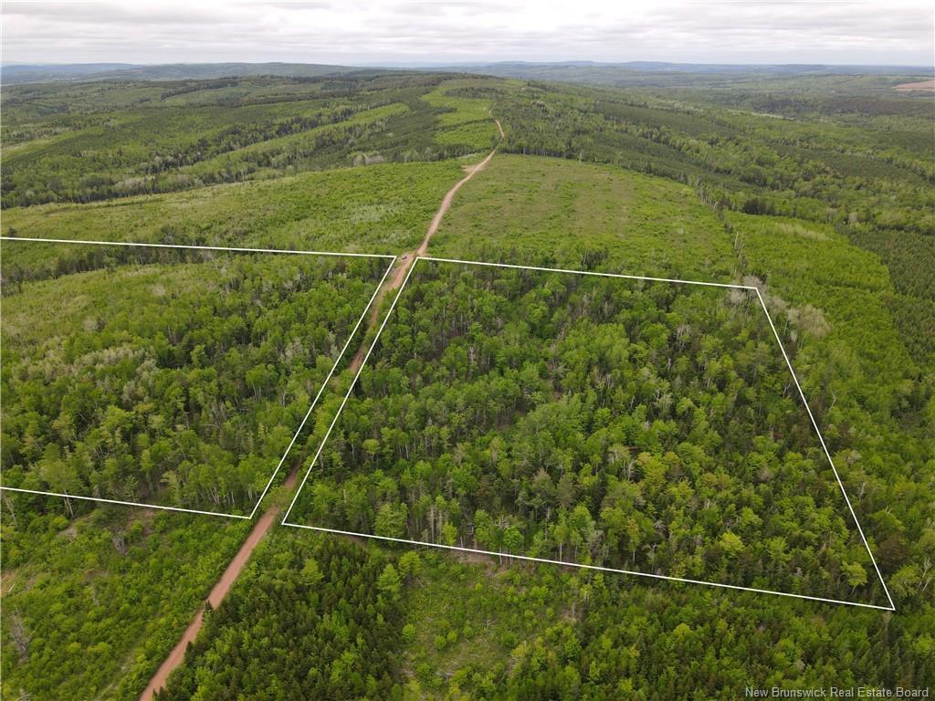 Lot Cemetery Rd, Whites Mountain, NB - Outdoor With View