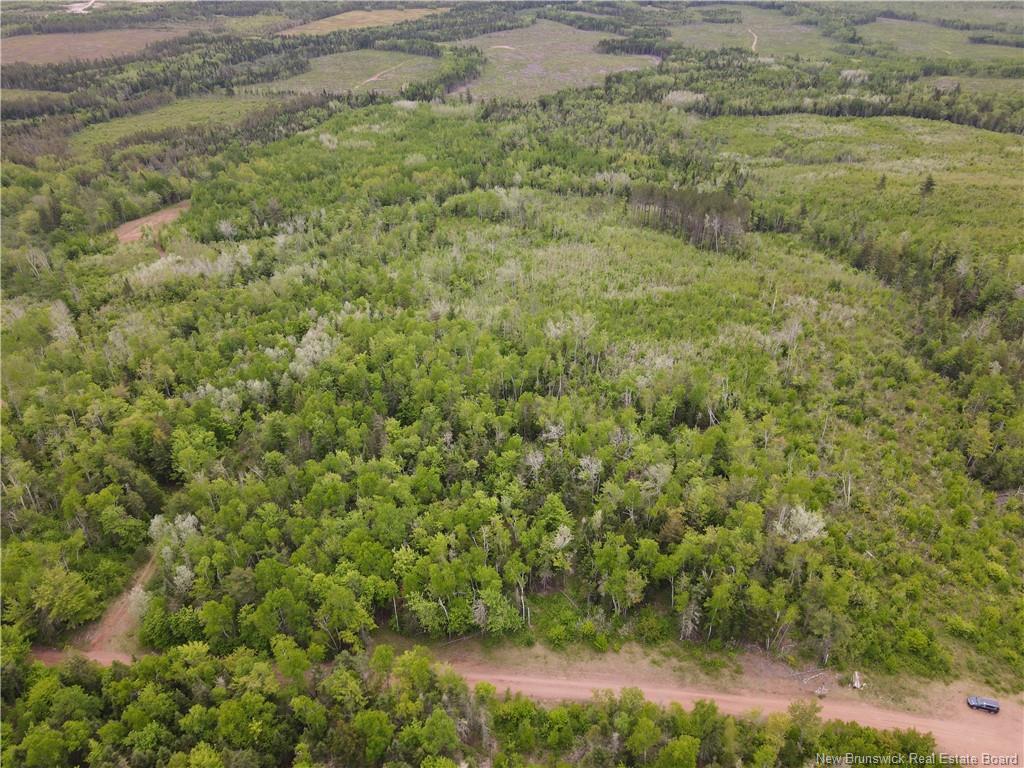 Lot Cemetery Rd, Whites Mountain, NB - Outdoor With View