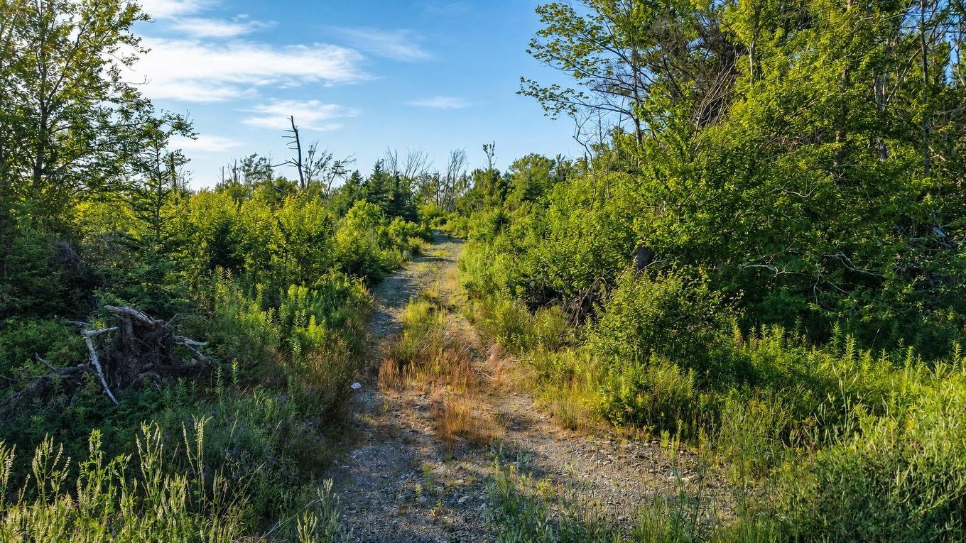 Lot 2017-2 Main A Dieu Road, Catalone, NS
