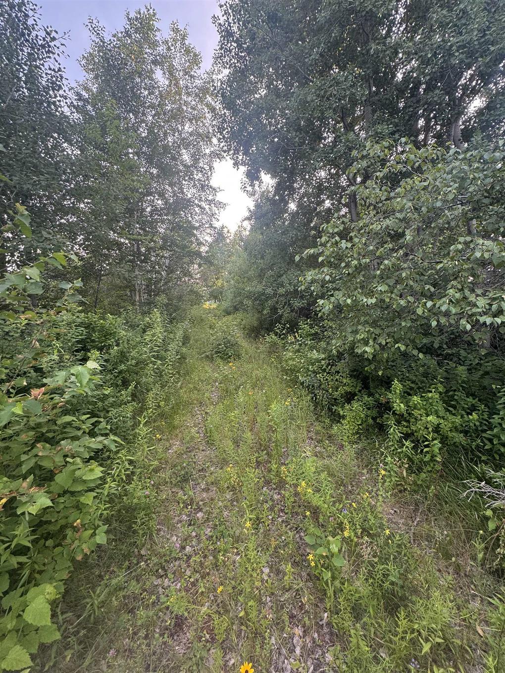 1906 Byrnes Road, Byrnes Road, PE