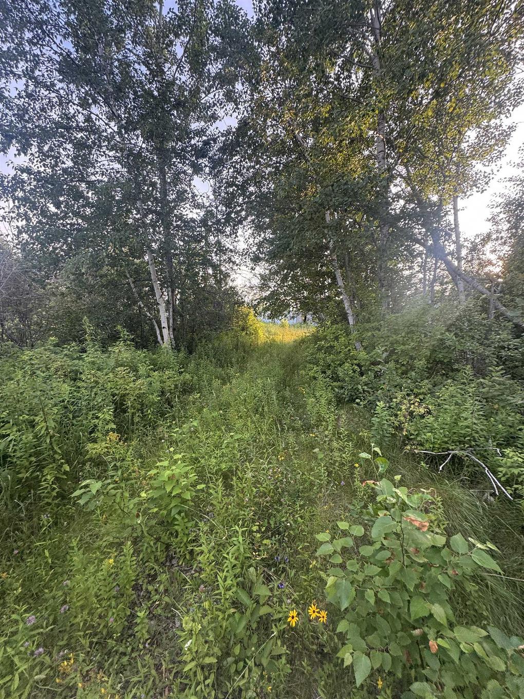 1906 Byrnes Road, Byrnes Road, PE