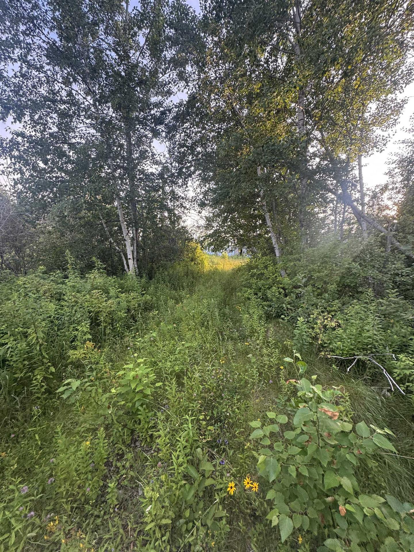 1906 Byrnes Road, Byrnes Road, PE