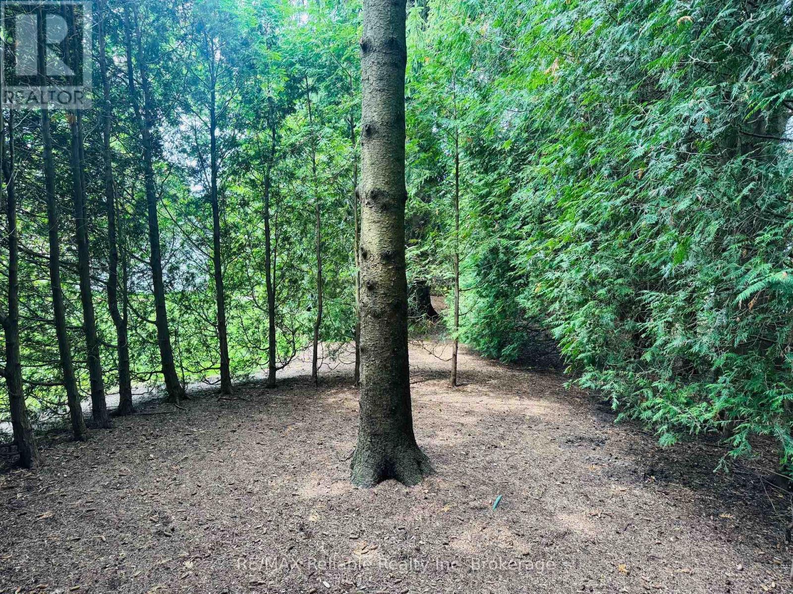 trail thru the cedars - 60 Tuyll Street, Bluewater (Bayfield), ON - Outdoor