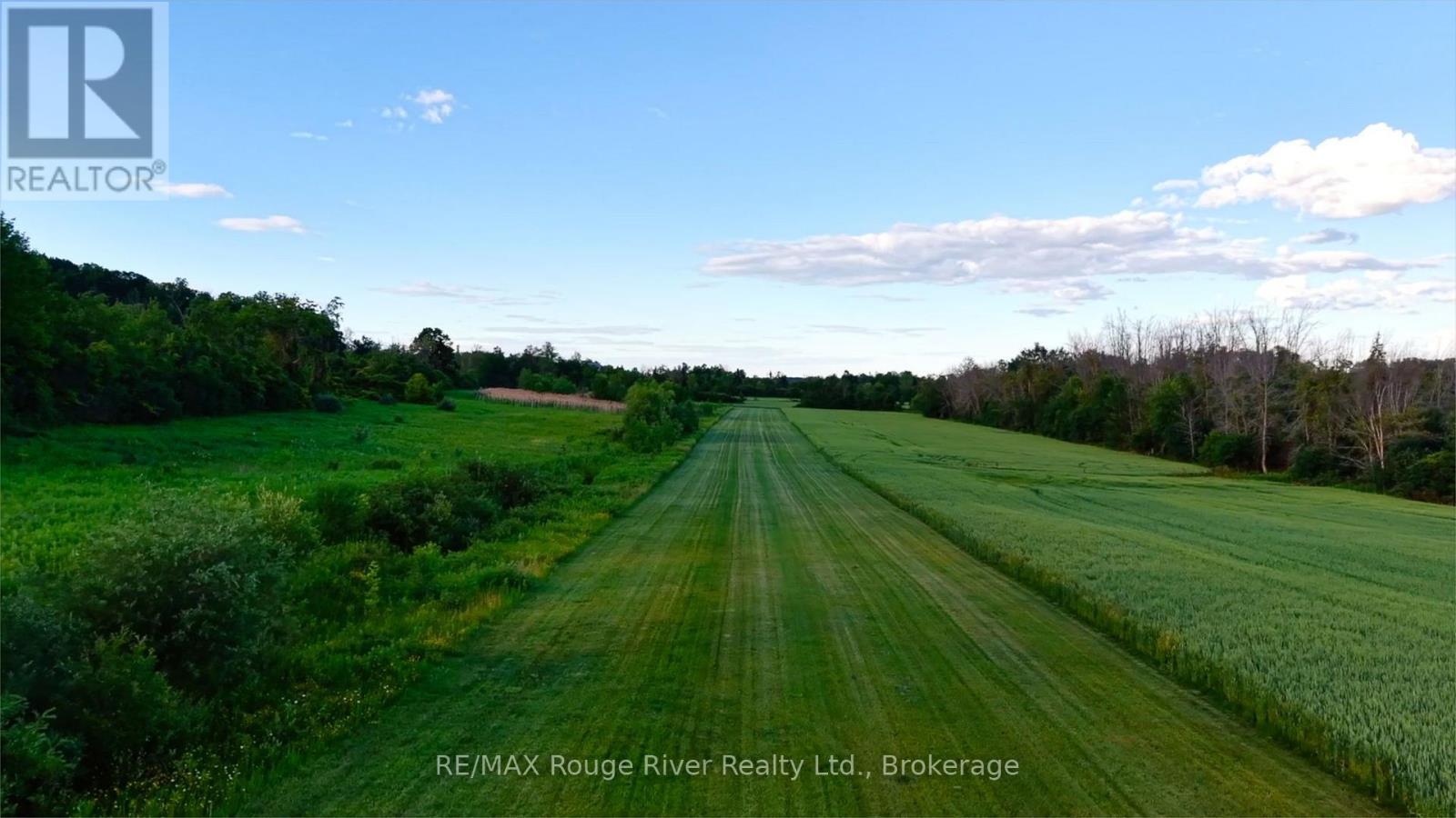 733 County Rd 2 Rd Road E, Otonabee-South Monaghan, ON - Outdoor With View
