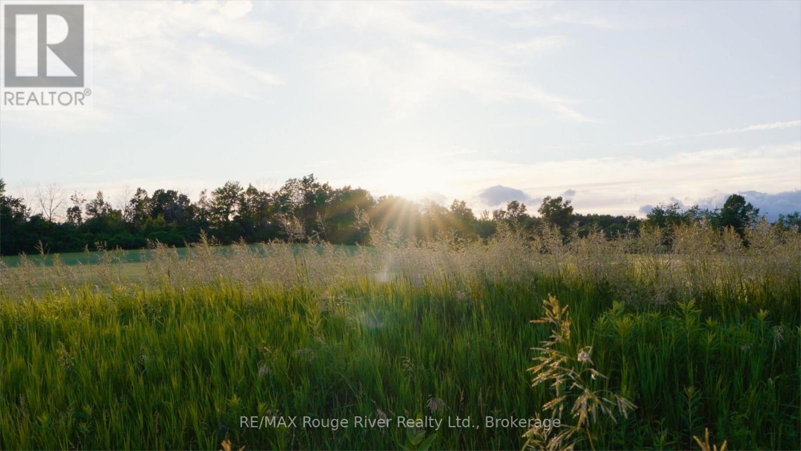 733 County Rd 2 Rd Road E, Otonabee-South Monaghan, ON - Outdoor With View