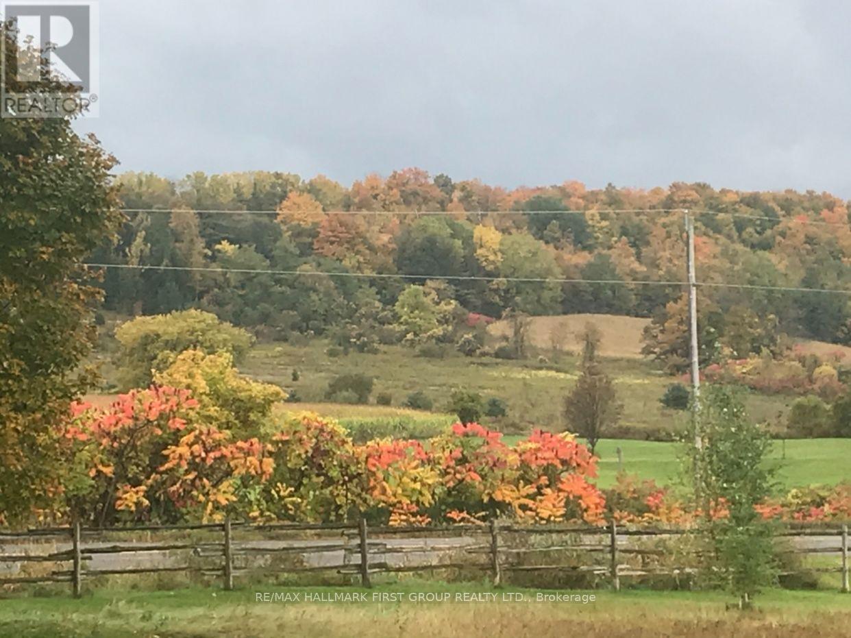 9950 Danforth Road E, Alnwick/Haldimand, ON - Outdoor With View
