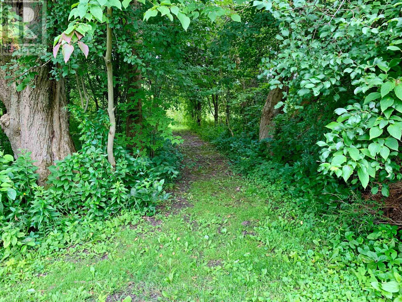 9950 Danforth Road E, Alnwick/Haldimand, ON - Outdoor