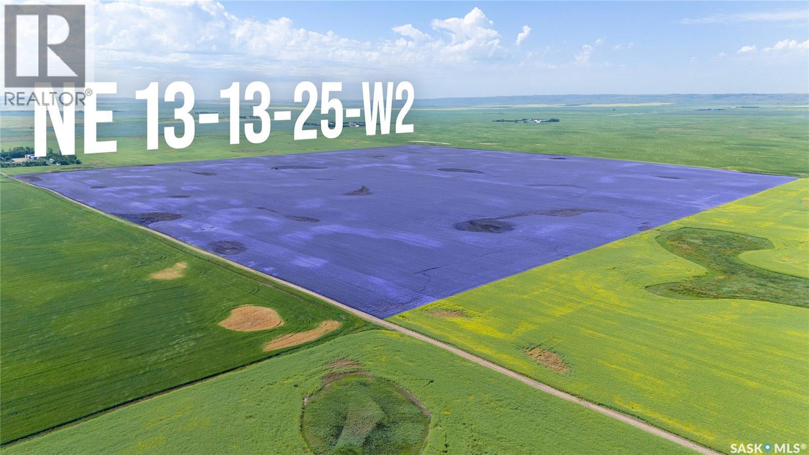 Ne 13-13-25 W2 - Briercrest Area, Baildon Rm No. 131, SK