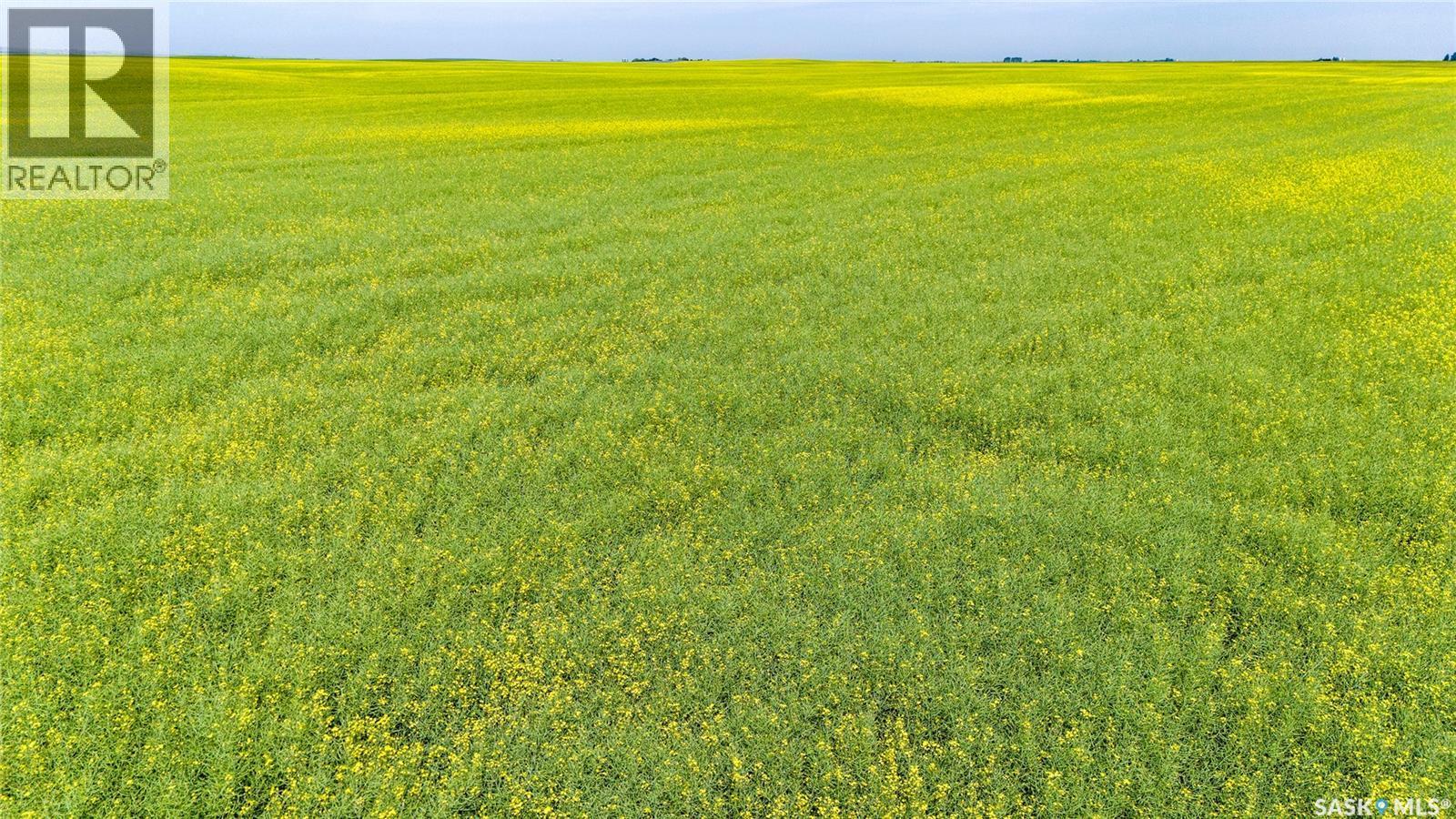 Ne 13-13-25 W2 - Briercrest Area, Baildon Rm No. 131, SK