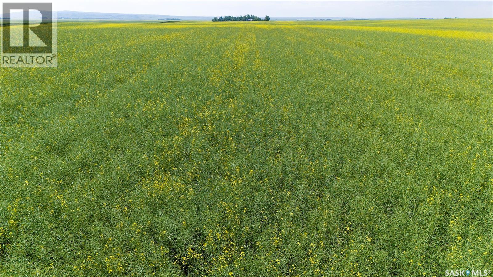 Ne 13-13-25 W2 - Briercrest Area, Baildon Rm No. 131, SK