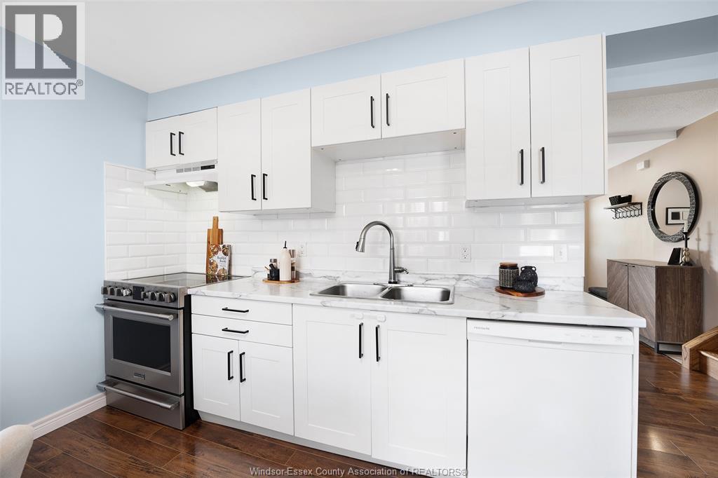 347 St. Peter Street, Belle River, ON - Indoor Photo Showing Kitchen With Double Sink With Upgraded Kitchen