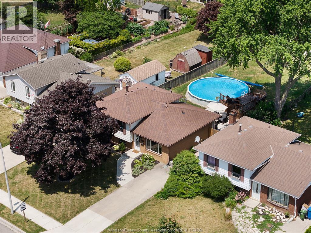 347 St. Peter Street, Belle River, ON - Outdoor With Above Ground Pool
