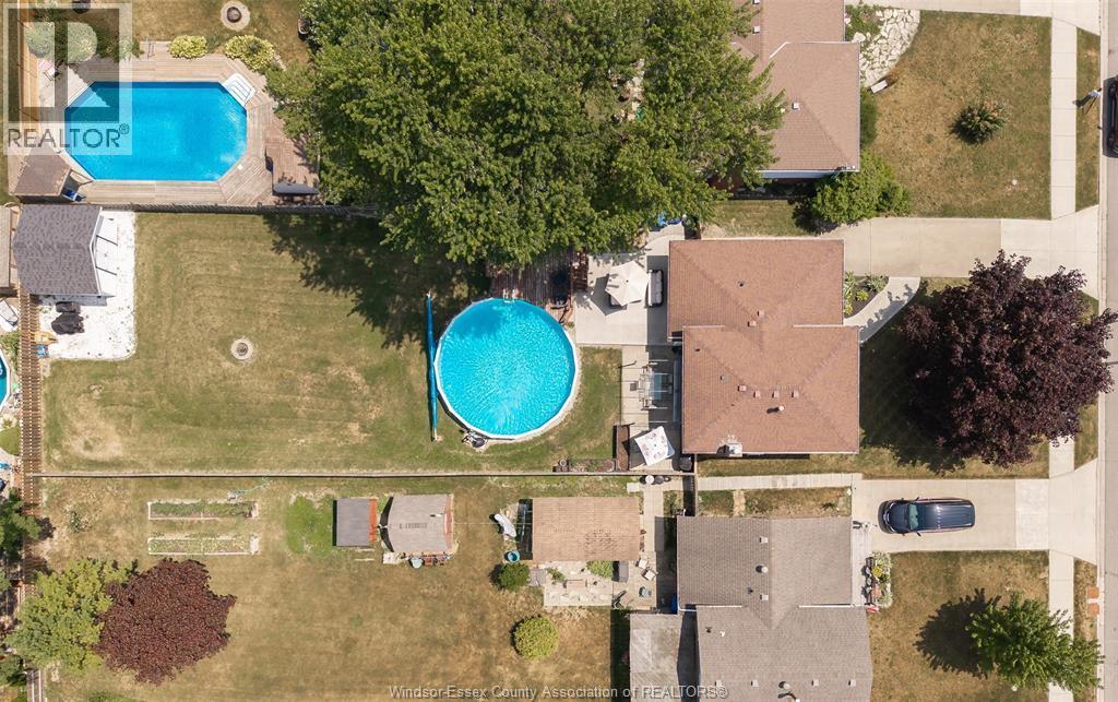 347 St. Peter Street, Belle River, ON - Outdoor With Above Ground Pool With View