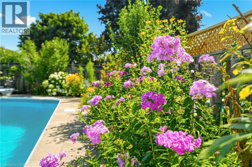 25 Winter Way, Brantford, ON - Outdoor With In Ground Pool