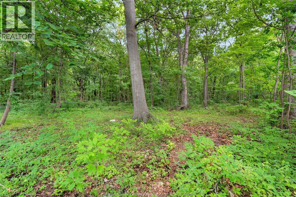 1335 Laurier Drive, Lasalle, ON - Outdoor