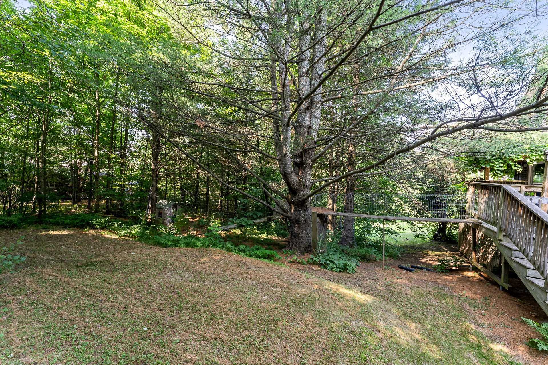 Lot - 37 Rue André, Magog, QC - Outdoor