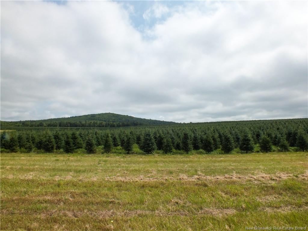 1409 Route 570, Gordonsville, NB